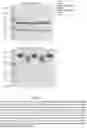 Fig. 54 - Modified microcystins and nodularins