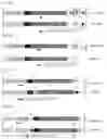 Fig. 08 - Selective recovery
