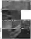 Fig. 18 - Selective recovery