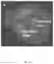 Fig. 20 - Selective recovery