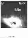 Fig. 25 - Selective recovery