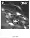 Fig. 27 - Selective recovery