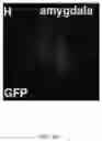 Fig. 31 - Selective recovery
