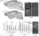 Fig. 76 - Selective recovery