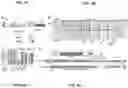 Fig. 03 - Inhibitors of CRISPR-Cas9