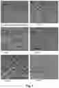 Fig. 04 - Mosquitocidal Xenorhabdus, Lipopeptide and Methods