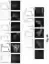 Fig. 05 - Engineered light-sensitive proteins