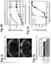 Fig. 13 - Engineered light-sensitive proteins