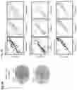 Fig. 19 - Engineered light-sensitive proteins