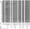 Fig. 21 - Engineered light-sensitive proteins