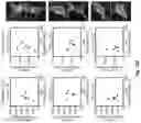 Fig. 35 - Engineered light-sensitive proteins
