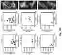Fig. 37 - Engineered light-sensitive proteins
