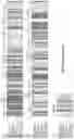 Fig. 51 - Engineered light-sensitive proteins