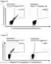 Fig. 34 - Immunotherapy with A*01 restricted peptides and combination of peptides against cancers and related methods