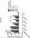 Fig. 40 - IMPROVED LAMP CONSTRUCTS COMPRISING CANCER ANTIGENS