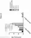 Fig. 41 - IMPROVED LAMP CONSTRUCTS COMPRISING CANCER ANTIGENS