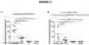 Fig. 58 - IMPROVED LAMP CONSTRUCTS COMPRISING CANCER ANTIGENS