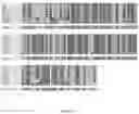 Fig. 03 - COMPOSITIONS AND METHODS FOR TREATING HEART FAILURE