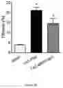 Fig. 25 - COMPOSITIONS AND METHODS FOR TREATING HEART FAILURE