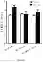 Fig. 33 - COMPOSITIONS AND METHODS FOR TREATING HEART FAILURE