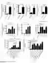 Fig. 04 - IDENTIFICATION OF A NOVEL B CELL CYTOKINE