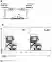 Fig. 07 - IDENTIFICATION OF A NOVEL B CELL CYTOKINE