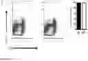 Fig. 16 - IDENTIFICATION OF A NOVEL B CELL CYTOKINE