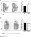 Fig. 19 - IDENTIFICATION OF A NOVEL B CELL CYTOKINE