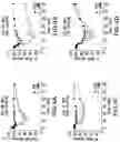 Fig. 05 - Glucose responsive insulin comprising a tri-valent sugar cluster for treatment of diabetes
