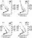 Fig. 06 - Glucose responsive insulin comprising a tri-valent sugar cluster for treatment of diabetes