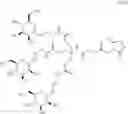 Fig. 122 - Glucose responsive insulin comprising a tri-valent sugar cluster for treatment of diabetes