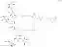 Fig. 160 - Glucose responsive insulin comprising a tri-valent sugar cluster for treatment of diabetes