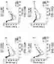 Fig. 22 - Glucose responsive insulin comprising a tri-valent sugar cluster for treatment of diabetes