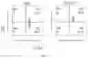 Fig. 04 - Multifunctional Fusion Protein and Applications Thereof