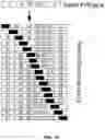 Fig. 11 - FACTOR VIII COMPOSITIONS AND METHODS OF MAKING AND USING SAME