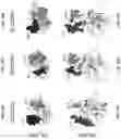 Fig. 55 - FACTOR VIII COMPOSITIONS AND METHODS OF MAKING AND USING SAME