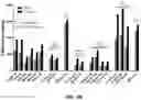 Fig. 57 - FACTOR VIII COMPOSITIONS AND METHODS OF MAKING AND USING SAME