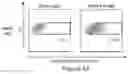 Fig. 10 - Antibodies to Andes hantavirus, and methods for using same
