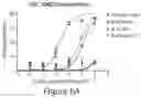 Fig. 16 - Antibodies to Andes hantavirus, and methods for using same