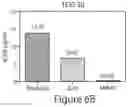 Fig. 17 - Antibodies to Andes hantavirus, and methods for using same