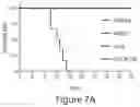 Fig. 18 - Antibodies to Andes hantavirus, and methods for using same