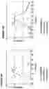Fig. 28 - ANTIBODY BASED REAGENTS THAT SPECIFICALLY RECOGNIZE TOXIC OLIGOMERIC FORMS OF TAU