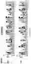 Fig. 09 - Method using split inteins to generate protein conjugates