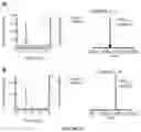 Fig. 14 - Method using split inteins to generate protein conjugates