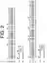 Fig. 03 - ANTIBODIES TO IL-6 AND USE THEREOF