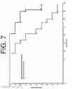 Fig. 08 - ANTIBODIES TO IL-6 AND USE THEREOF