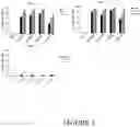 Fig. 04 - Compositions and methods for treating cancer with anti-CD19/CD22 immunotherapy