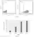 Fig. 03 - Chimeric antigen receptor cells targeting ROBO1, preparation method and use thereof