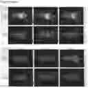 Fig. 18 - EGFR-binding agents and uses thereof