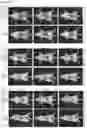 Fig. 19 - EGFR-binding agents and uses thereof